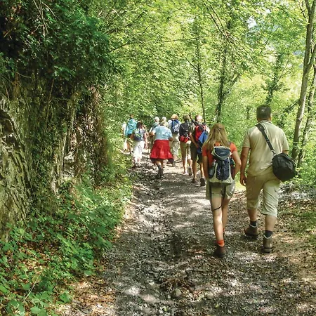 Poggio Ai Frati Holiday home *
